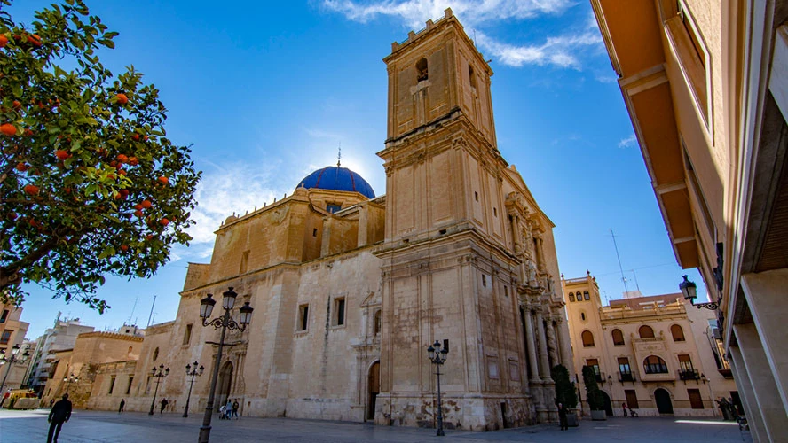 persianas elche